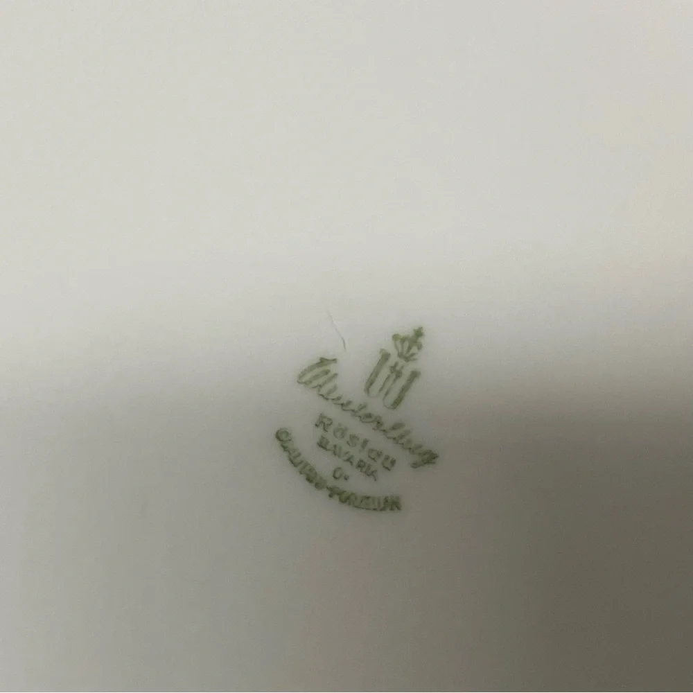 Vintage Winterling Roslau Bavaria Dinnerware - Picture 2 of 5